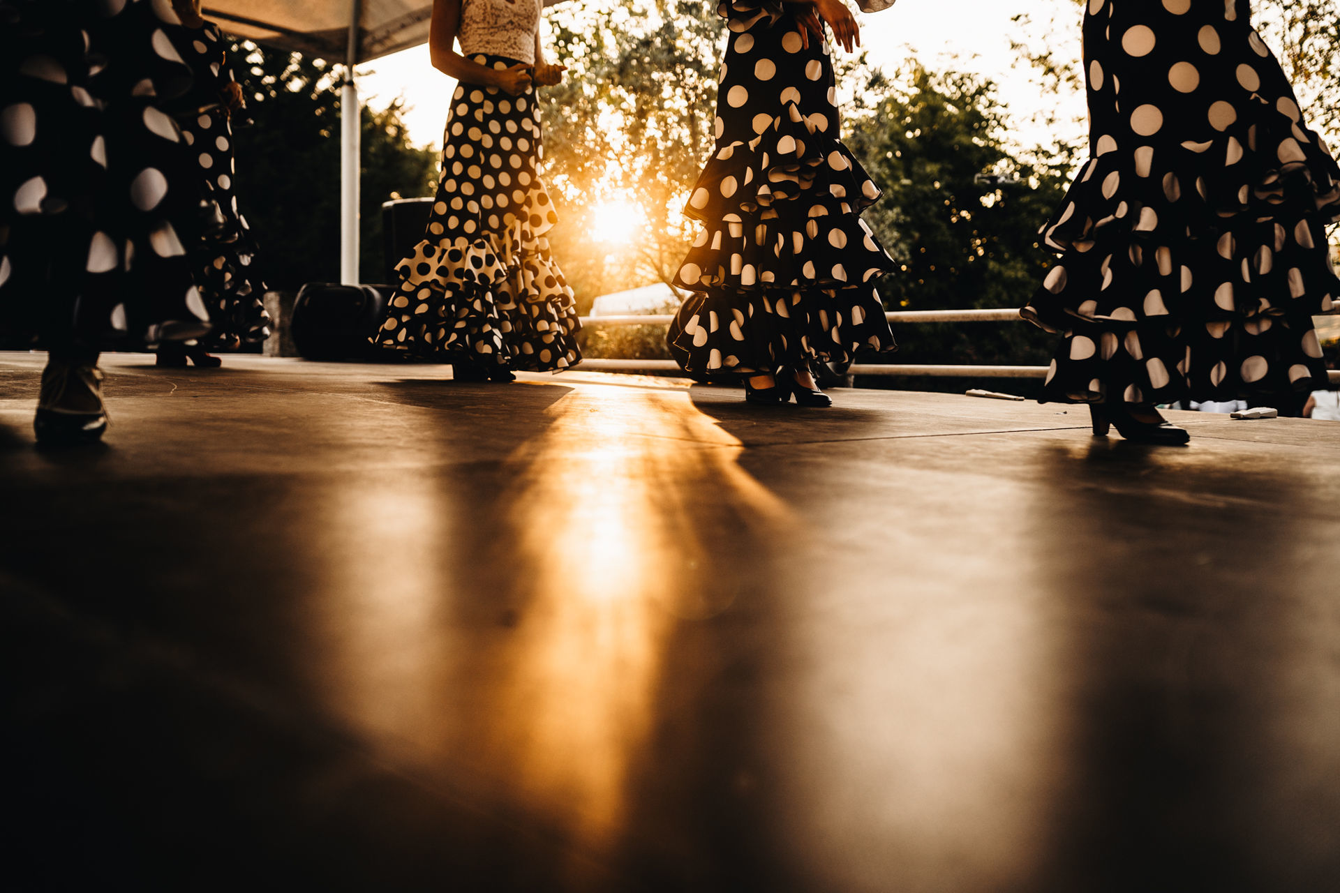 Foto Casamento no Alentejo, Portalegre - Lídia & João no dia dos seus sonhos Foto Casamento no Alentejo, Portalegre - Lídia & João no dia dos seus sonhos - Imagem 30