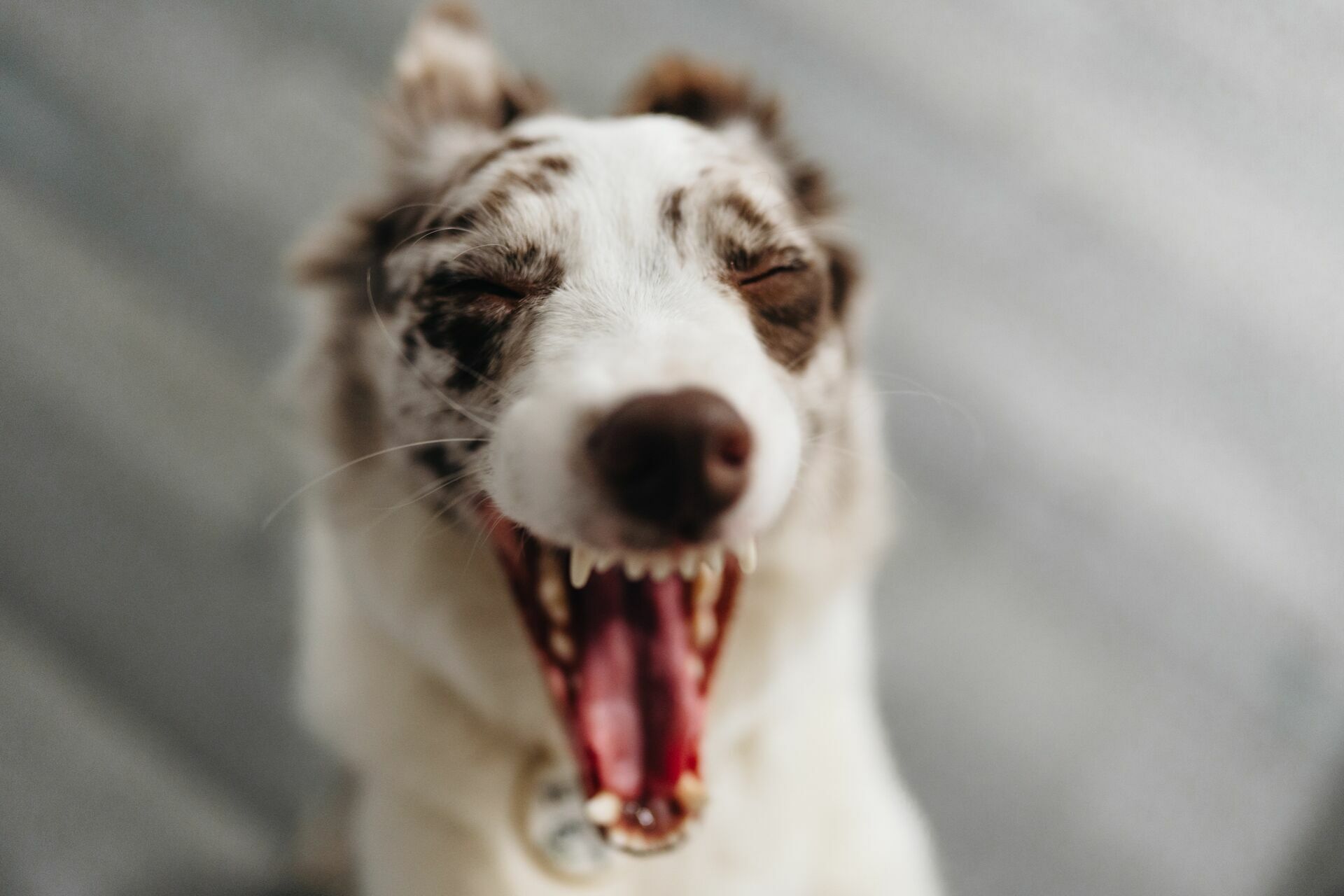 Foto Catarina & Miguel, Casamento intimista e romântico no Inverno - Imagem 2