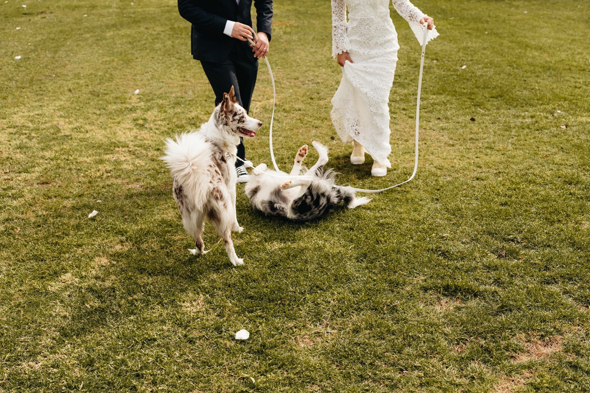 Foto Catarina & Miguel, Casamento intimista e romântico no Inverno - Imagem 5