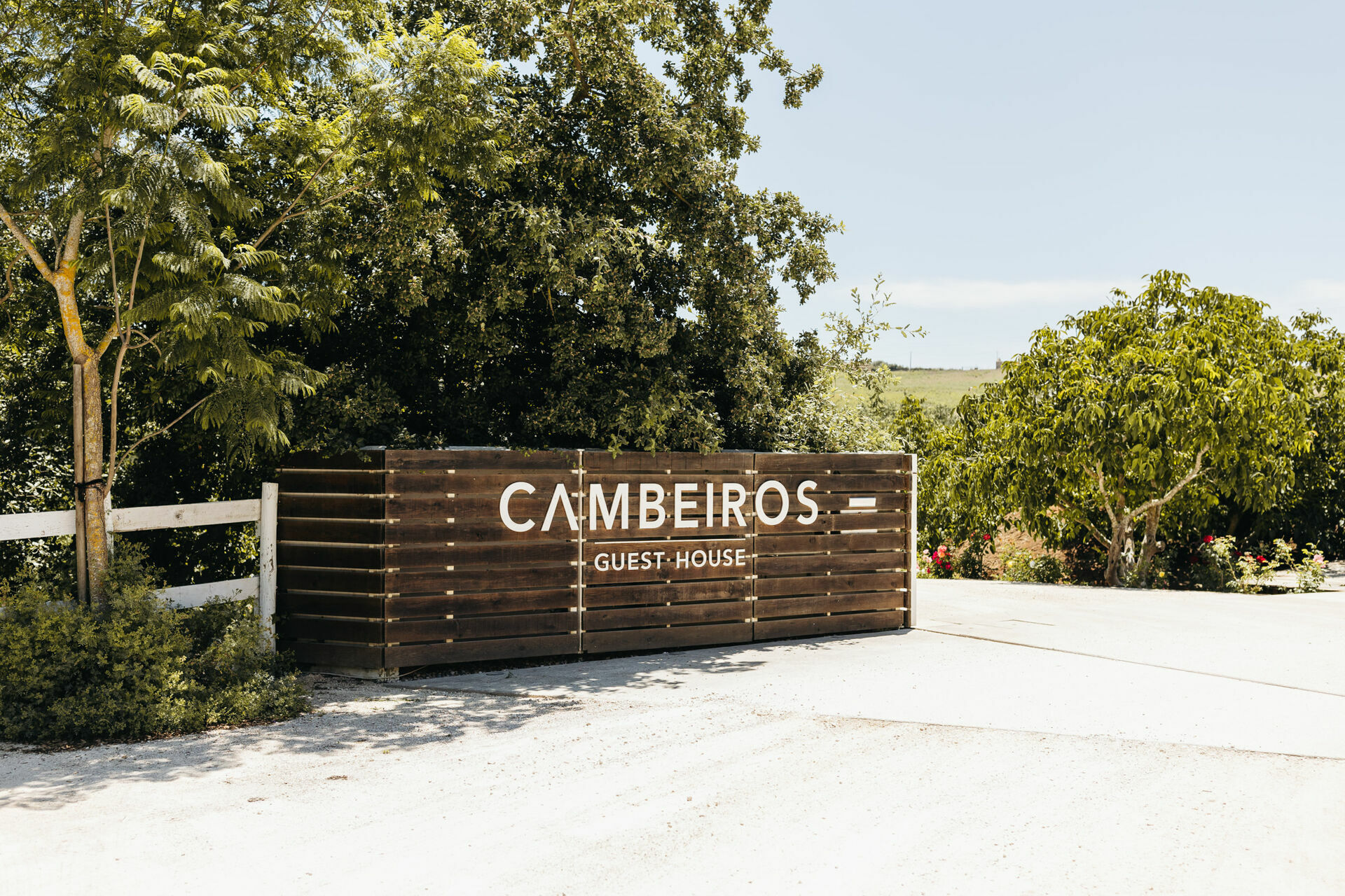 Foto Patrícia & Pedro, Casamento 'que foi um Festão' na Quinta de São Gonçalo, Alenquer - Imagem 0