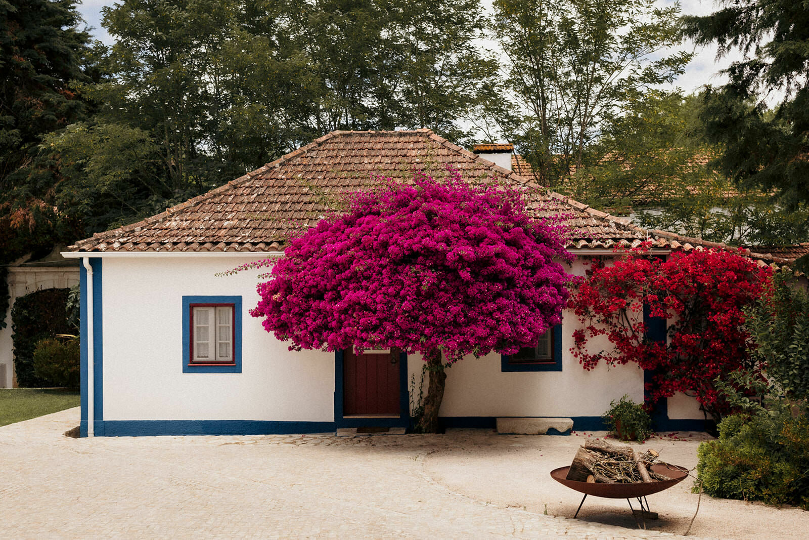 Foto Andrea & Vasco - celebrated at Quinta da Bichinha, Alenquer - Portugal Foto Andrea & Vasco - celebrated at Quinta da Bichinha, Alenquer - Portugal - Imagem 1